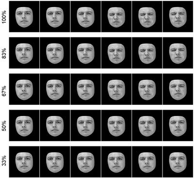 A Novel Dynamic Morphed Stimuli Set to Assess Sensitivity to Identity and Emotion Attributes in Faces